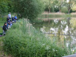 Competities HSV Alfheim